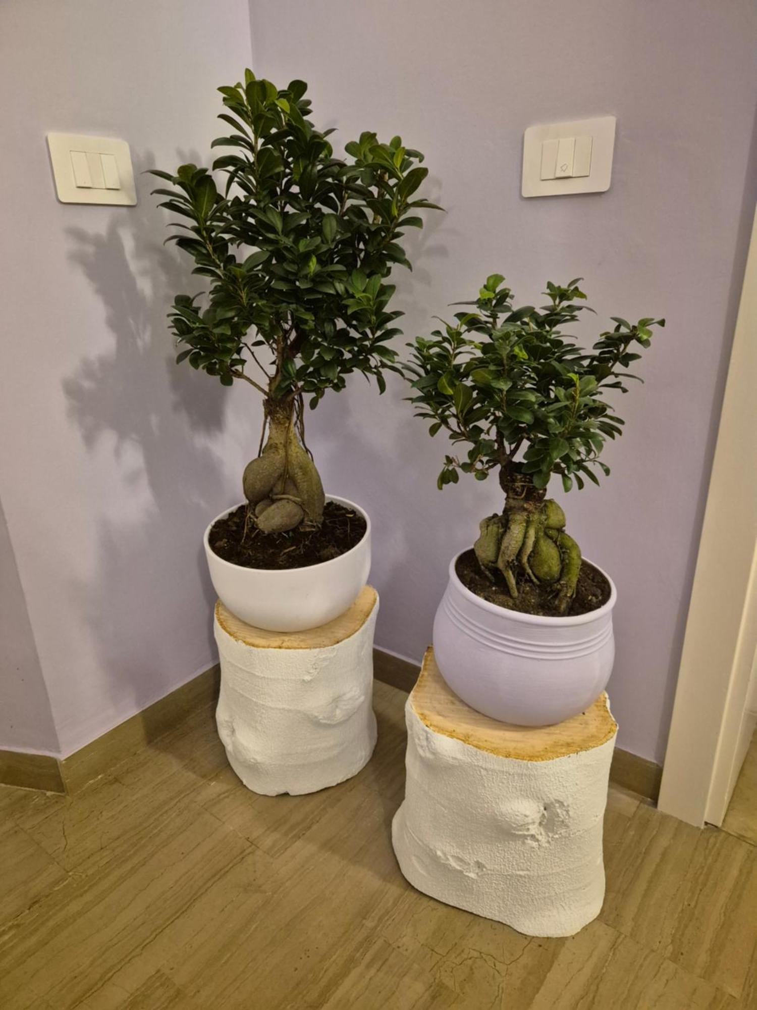 Il Sogno Degli Angeli Appartement Santa Maria Degli Angeli  Buitenkant foto